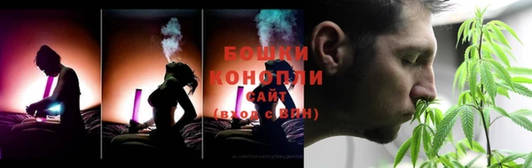 сатива Касимов