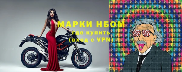 сатива Касимов