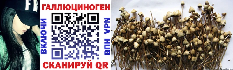 Галлюциногенные грибы мухоморы Дедовск